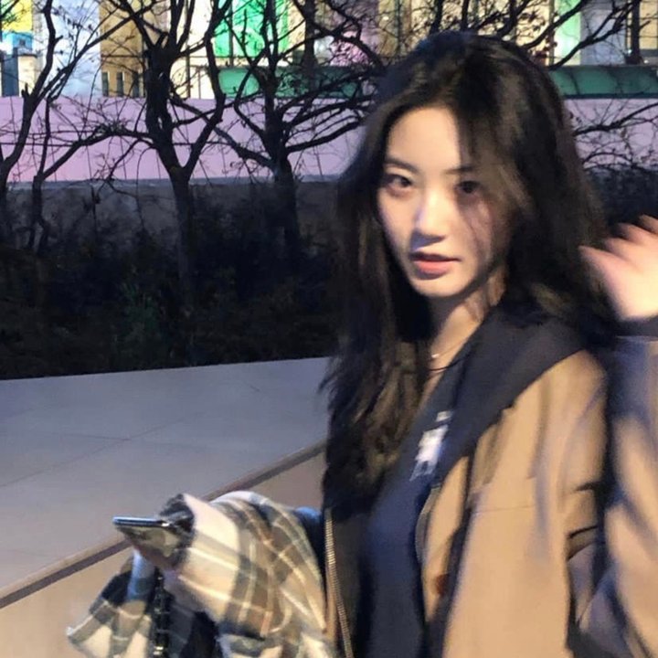 华人侦探陈查理之中国猫